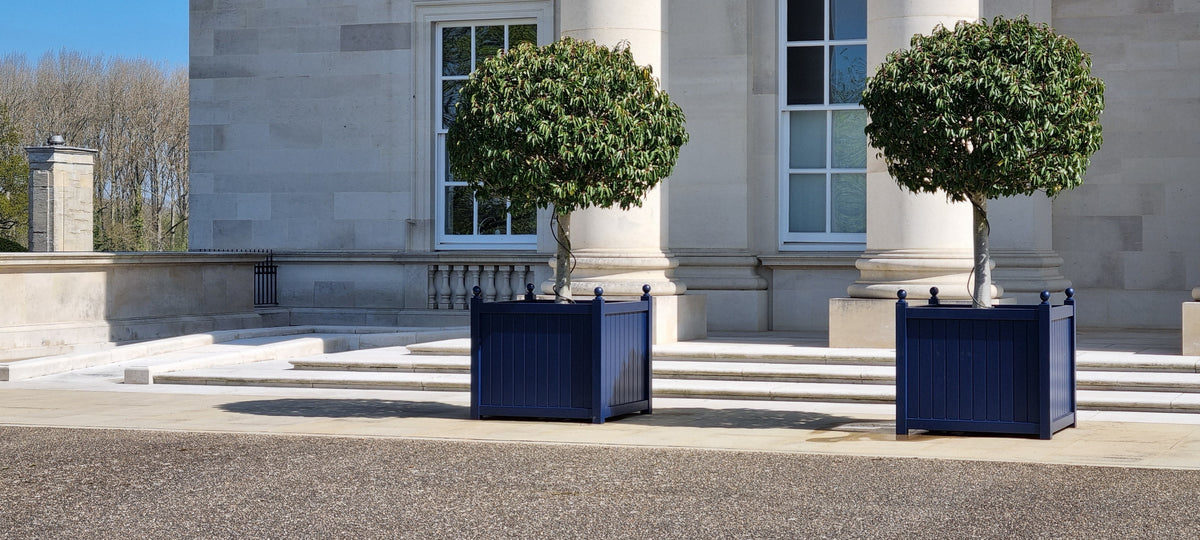 Two potted trees in front of a building with blue planters.