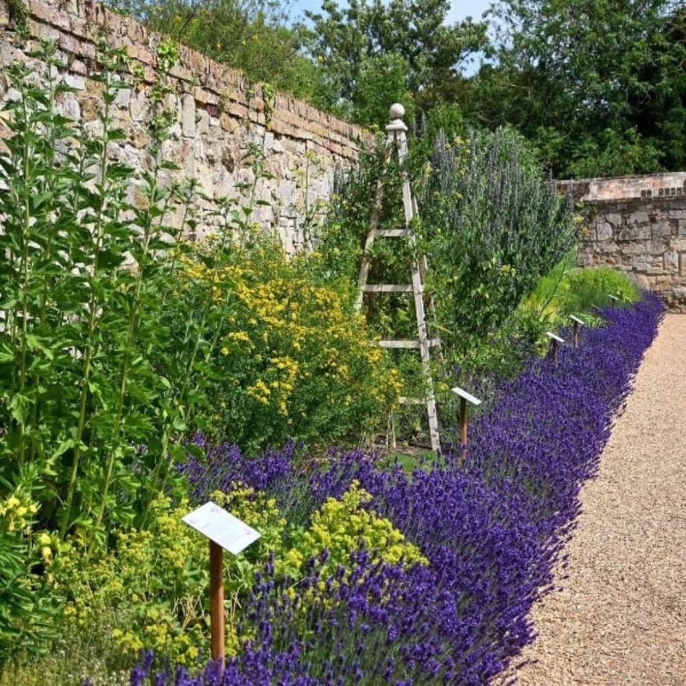 Classic Garden Obelisk Natural